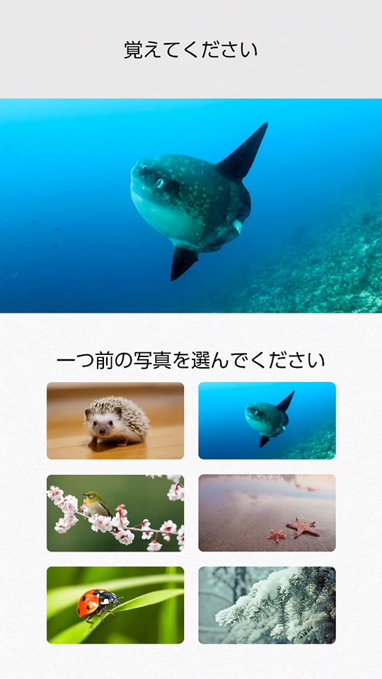 https://japanesenintendo.files.wordpress.com/2019/09/00001769_07.jpg